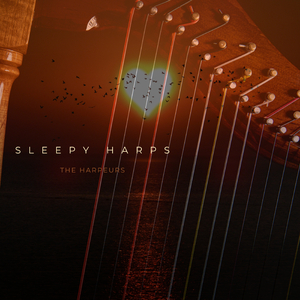 捷克街头钞能力在线视频
