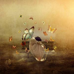 捷克街头钞能力在线视频
