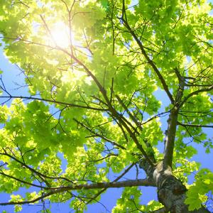 捷克街头钞能力在线视频
